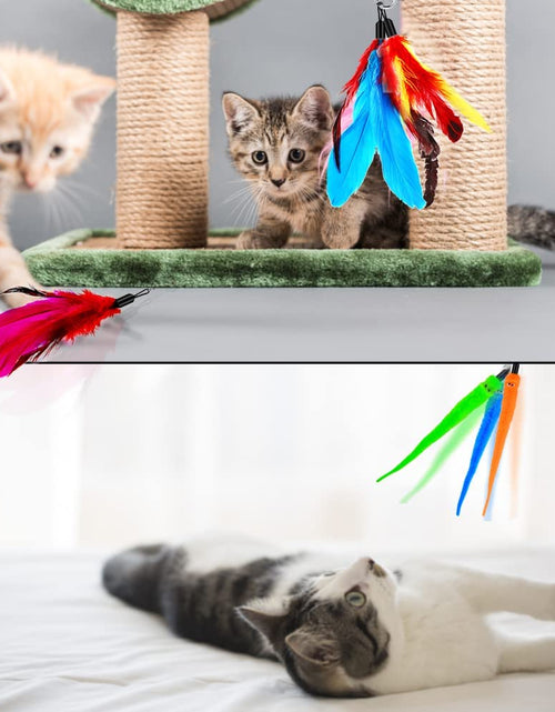 Load image into Gallery viewer, Cat Toy Wand, Retractable Cat Feather Toys and Replacement Refills with Bells, Interactive Cat Toys for Cat Kitten Exercise
