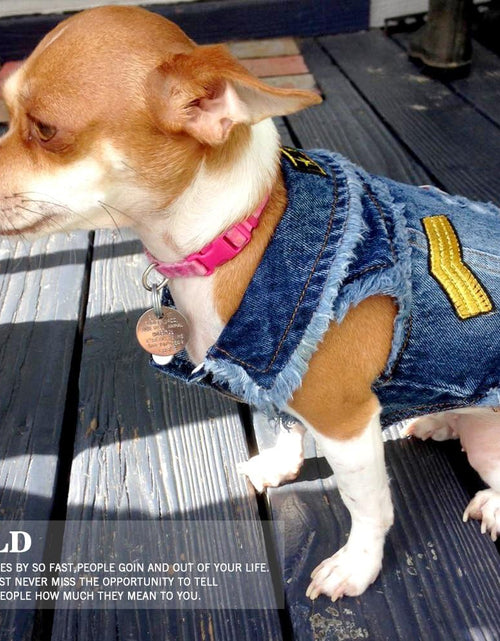 Load image into Gallery viewer, Pet Clothes Dog Jeans Jacket Cool Blue Denim Coat Small Medium Puppy Blue Vintage Washed Clothes Dogs Lapel Vests Classic Hoodies
