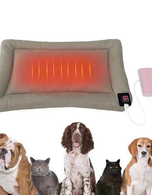 Load image into Gallery viewer, Heating Pad Blanket Dog Cat Puppy Mat Bed Pet Electric Warmer Pad Protection Waterproof Anti-Slip Type-C Heating Pad
